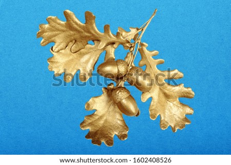 golden branch of oak. decorative autumn leaves. golden leaves on a blue background.  blue cardboard. blue paper texture 