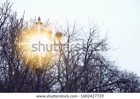 Vintage street lamp and bare trees at winter twilight