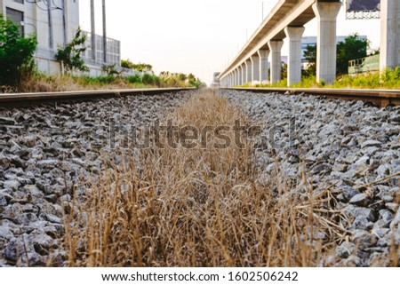 A photograph of hay near a railway.