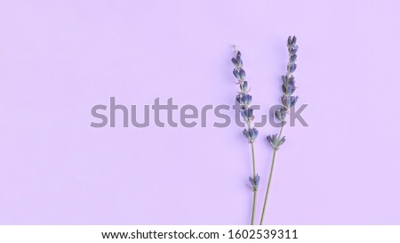 bouquet of violet lilac purple lavender flowers arranged on table background. Top view, flat lay mock up, copy space. Minimal background concept. Dry flower floral composition isolated. Spa skin care Royalty-Free Stock Photo #1602539311
