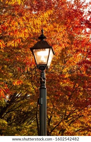 Gettysburg, PA / USA - October 25, 2014: An illuminated light post among fall colors and autumn leaves.