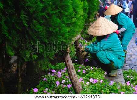 Two gardeners wear Vietnamese hats working in the garden.