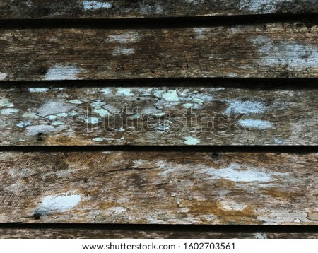wood texture wall space background for design. closeup view