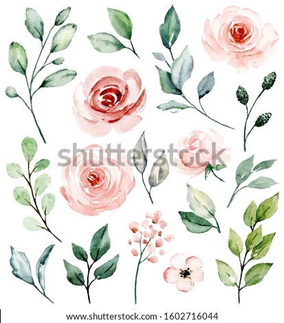 Pink flowers watercolor, floral clip art. Set blossom blush roses and leaf perfectly for printing design on invitations, cards, wall art and other. Isolated on white background. Hand painting. 