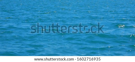 Blue sea and sunlight in summer morning.