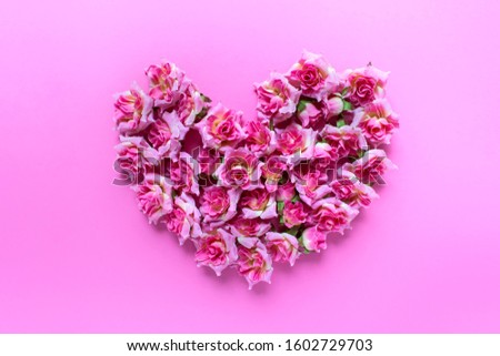 Romantic Valentines day greeting card with big heart made of small pink roses on pink background.