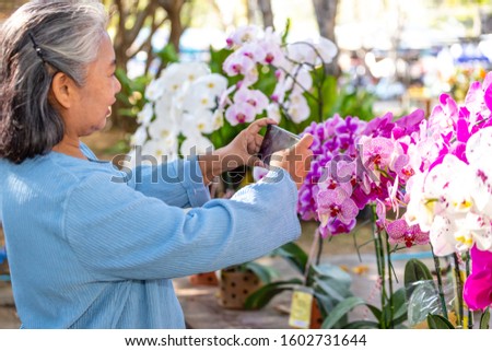 Selective focus hands of elderly female use smartphone to take a picture with beautiful orchids bunch with happiness in the garden