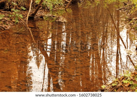 Close up of Autumn forest reflection in the river
