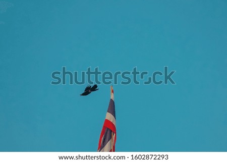 the crow is flying from the national thailand flag