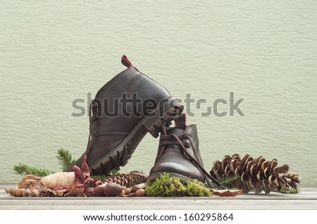 Dark brown boots on wooden floor