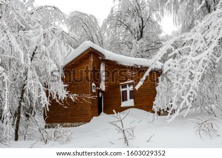 Tree houses under snow in the Kartepe Kuzuyayla Nature Park and magnificent landscape. Kocaeli, Turkey.