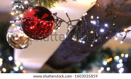 Christmas decoration, ball hanging on green fir tree. Branch with shiny globe. Red & white colors. Blur on background texture, lights for xmas. Holiday atmosphere, new year seasonal design ornament. 