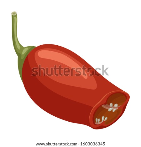 Spicy pepper vector icon.Cartoon vector icon isolated on white background spicy pepper .