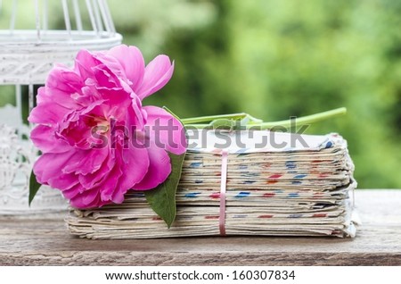 Single pink peony flower on stack of letters. Copy space