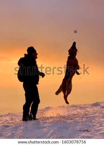 Enjoying the first day of the new year 2020 in a beautiful sunset playing with dog