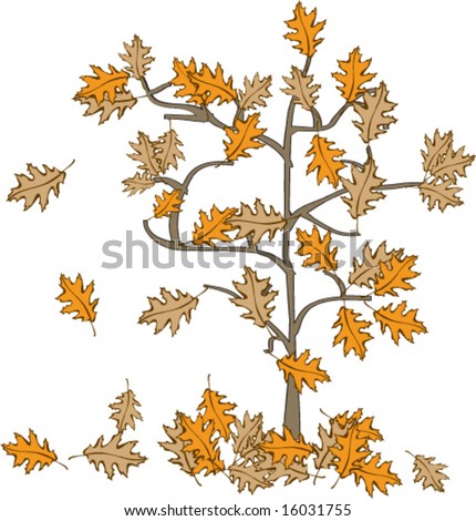 Vector illustration of Fall or Autumn red Oak leaves falling off the tree