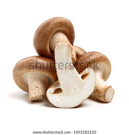 Shiitake mushroom on the White background  Royalty-Free Stock Photo #1603182220