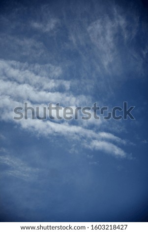 The background of the blue sky with clouds creates an atmosphere of peace and calm. Clouds can form if there is condensation of water vapor above the earth's surface.