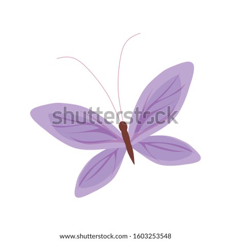Cute butterfly design, Insect animal wings nature summer beauty fly and spring theme Vector illustration