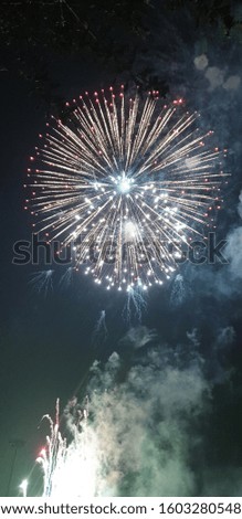 Beautiful amazing wonderful bright colourful sparkling fireworks at night during new year evening celebration