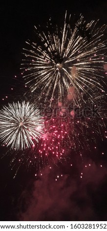 Beautiful amazing wonderful bright colourful sparkling fireworks at night during new year evening celebration