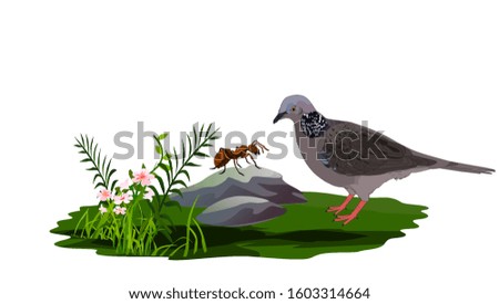 Dove and ant. Indian Dove and ant story's corrector - illustration  
