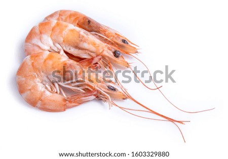 clipping path shrimp isolated on white background