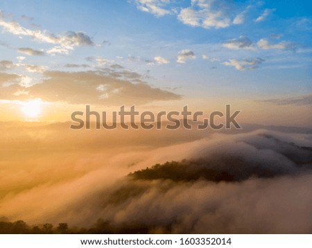 Aerial view forest in morning fog mist, breathing mountains, Sunshine on The Morning Mist.