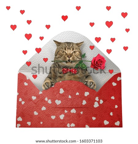 The beige cat with a rose in its mouth is inside the envelope. There are red hearts around it. White background. Isolated.