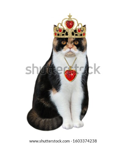 The cat queen wears a gold crown and a red heart shaped pendant. White background. Isolated.