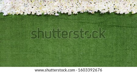 Green grass lawn with white flower decorated on top for background with copy space. Nature wallpaper or backdrop for decoration.