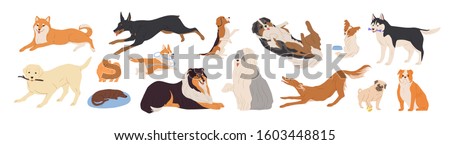 Playful dogs flat vector illustrations set. Different breed friendly puppies isolated on white background. Funny domestic pets, cute cheerful animals, joyful doggies collection. Happy dogs pack.