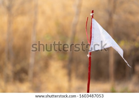 Blurred white flag on wood, flag of group scouts on forest background