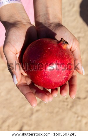 Fruit pomegranate in women's hands on the beach