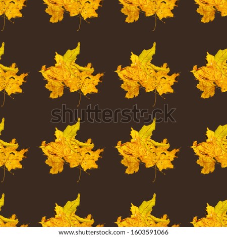 Seamless background with autumn a bunch of dry leaves