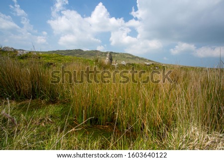 bodmin moor blue skies and grassland 