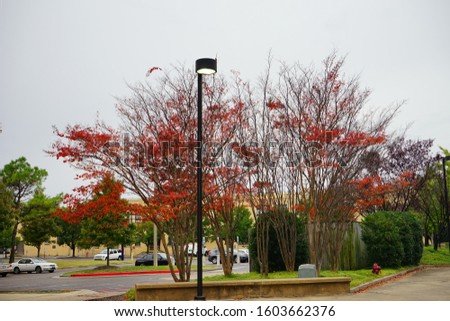 Memphis city fall landscape, State of Tennessee