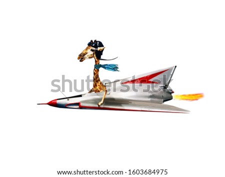 Funny giraffe pilot fly supersonic jet plane fast Royalty-Free Stock Photo #1603684975