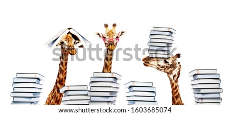 Group of three happy giraffes with book on heads