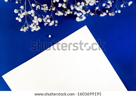 white sheet of paper on a blue background and white flowers of the gypsophila