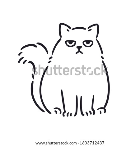 Cartoon drawing of grumpy looking fat cat. Funny annoyed white Persian cat, hand drawn sketch. Isolated vector clip art illustration.