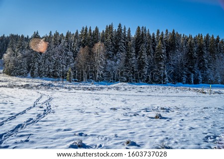 The Bohemian Forest, known in Czech as Sumava, is a low mountain range in Central Europe. They create a natural border between the Czech Republic on one side and Germany and Austria on the other.