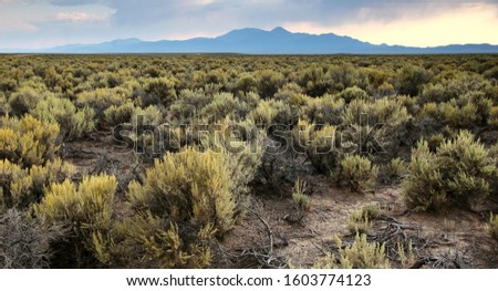Sagebrush with mountains at sunset in Nevada Royalty-Free Stock Photo #1603774123