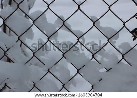 fencing mesh, covered with snow
