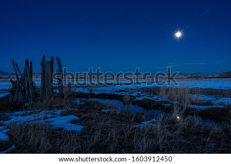 moon shining on snow covered field