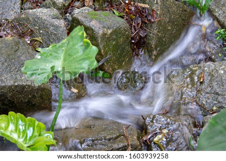 stream with running and potable water flow