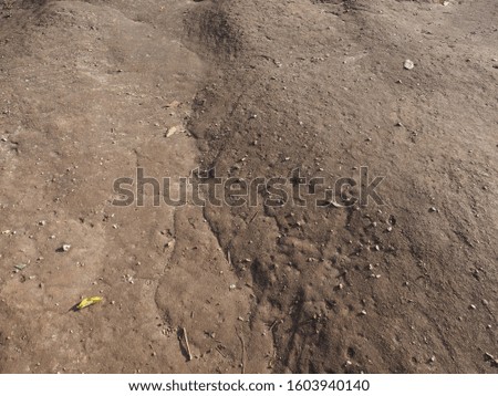 natural stone ground, rough background, dark brown color