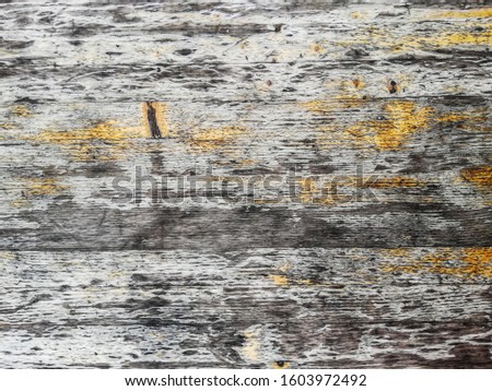 Photo of old wood planks wall. Wooden texture background