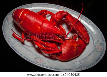 A cooked red lobster on a silver/pewter platter Royalty-Free Stock Photo #1604050435