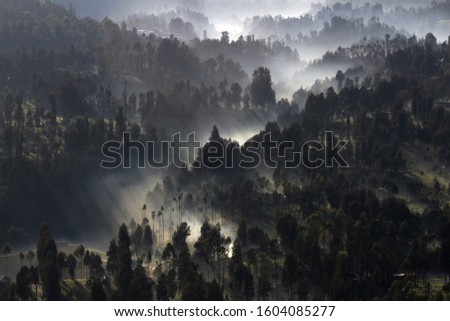 in the morning when some rural areas in Bromo Tengger Semeru National Park, were covered in fog and began to get sunlight